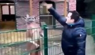 Turkish man punches at kangaroo in zoo; Twitterati criticises the man 