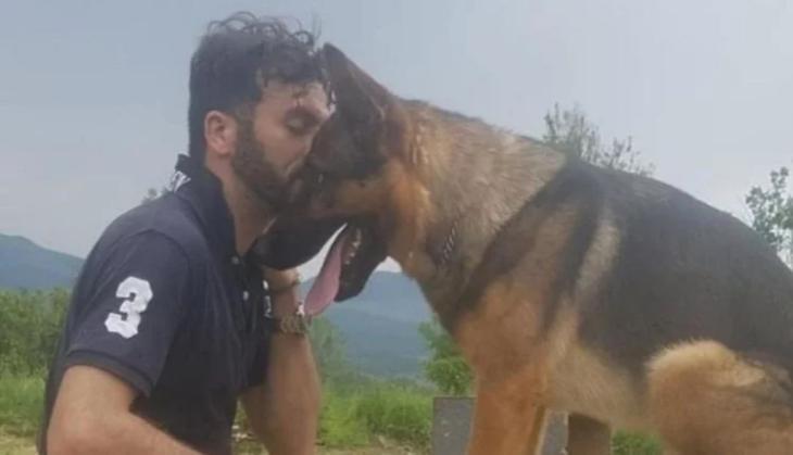 Kaos Dog