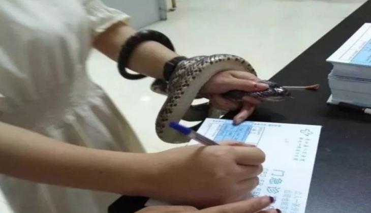 Snake in Woman Hand