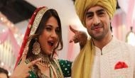 Bepannah: Harshad Chopra to propose Jennifer Winget and we cannot keep our calm!