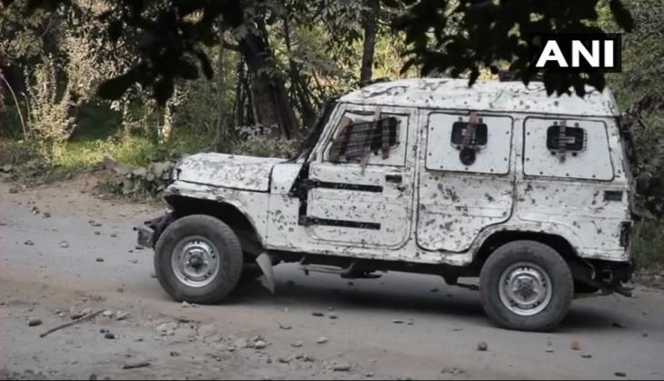 shopian stone pelt