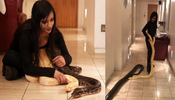 Girl With Python