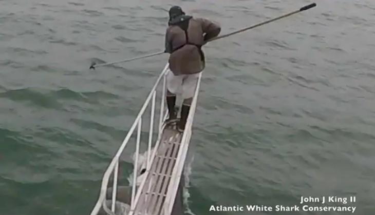 Man in Sea