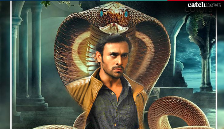Naagin 3: OMG! Maahir aka Pearl V Puri is the Naag Raaj and here's how his identity will be revealed!