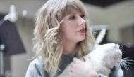 International Cat Day: Taylor Swift pokes fun at her purr-fect beloved felines 