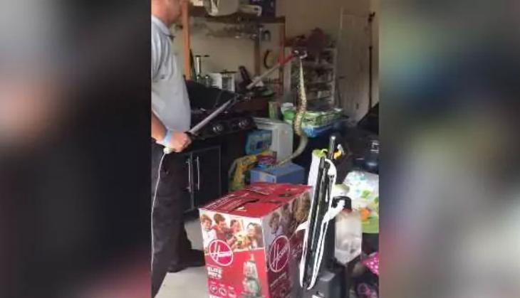 Snake in Garage