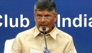 Andhra CM directs CRDA officials to beautify Krishna River bunds