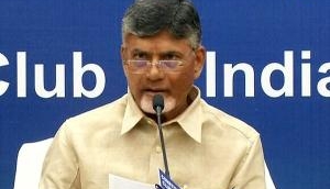 BJP, Amit Shah 'most corrupt' in India: Andhra Pradesh CM N Chandrababu Naidu
