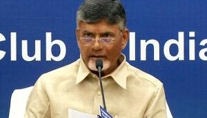 Worked a lot to make system right: CM Chandrababu Naidu
