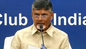 Chandrababu Naidu begins 'Dharma Porata Deeksha' in Delhi