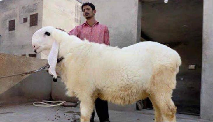 eid