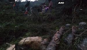 Man, 116 cattle killed after portion of hill collapsed in Himachal Pradesh