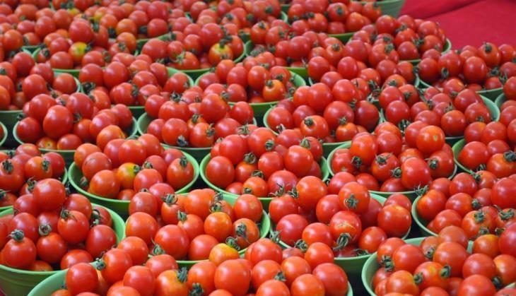 tomato