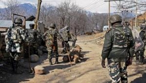 More than 225 terrorists killed in Jammu & Kashmir so far this year: Indian Army