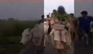 Uttar Pradesh: 70-year-old farmer thrashed, face painted black and paraded across village over suspicion of abandon of sick cow; see video