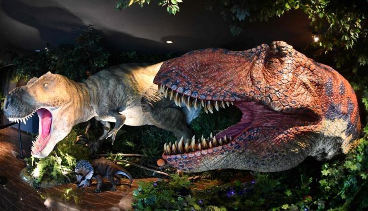 Dinosaur Robo