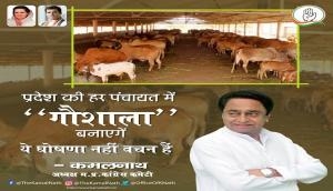 Assembly Elections 2018: Congress MP chief Kamal Nath steps in 'cow-politics'; promises to build gaushalas in every panchayat