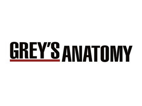 'Grey's Anatomy' to feature 1st openly gay male surgeon