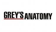 'Grey's Anatomy' to feature 1st openly gay male surgeon