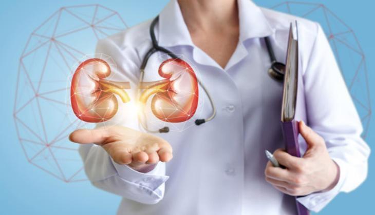 Kidney