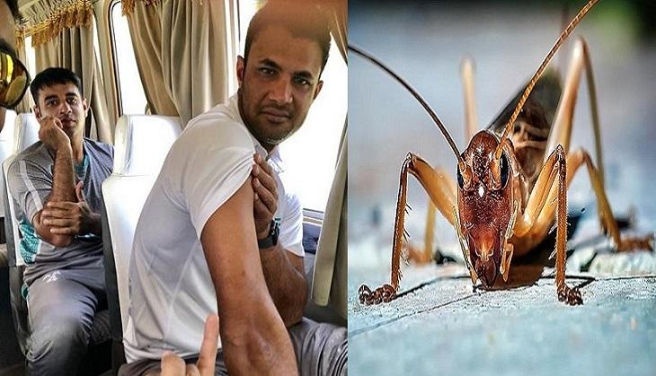 Pakistan Cricketer bugs