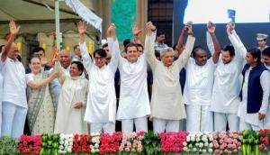 Lok Sabha Election 2019: Mayawati to skip Dec 10 Opposition meet called by Chandrababu Naidu; may affect Grand Alliance