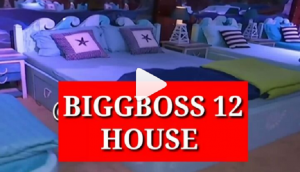 Bigg Boss 12: OMG! Take a tour of the house of the new season of Salman Khan's show; see exclusive pics and video that got leaked