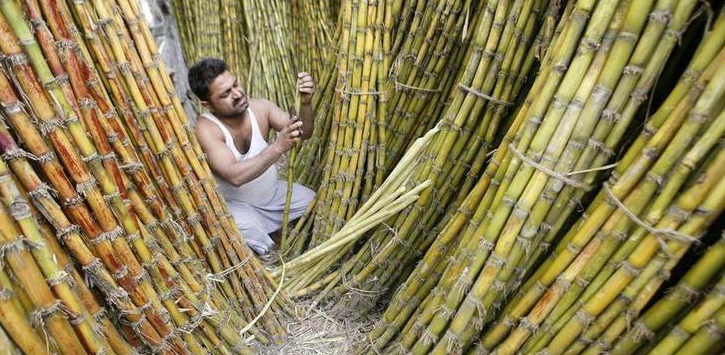 Cabinet okays Rs 4,500-cr package to sugar industry