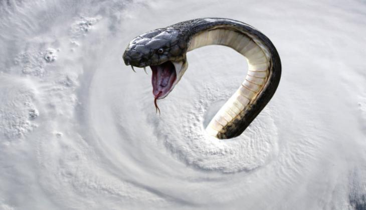 Snake