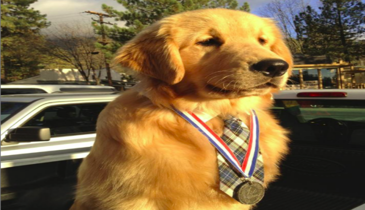 Mayor Max