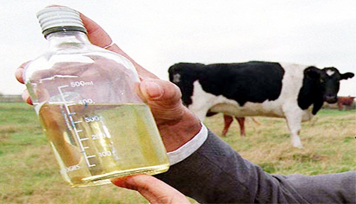 On Amazon, cow urine-made shampoos, soaps, face packs will be sold by RSS-backed centre