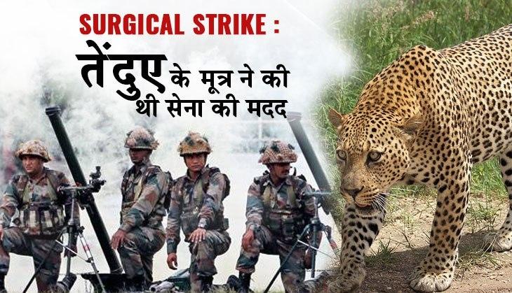 surgical strike