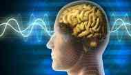 IIT Madras launches high-tech research centre to map human brains