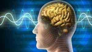 IIT Madras launches high-tech research centre to map human brains