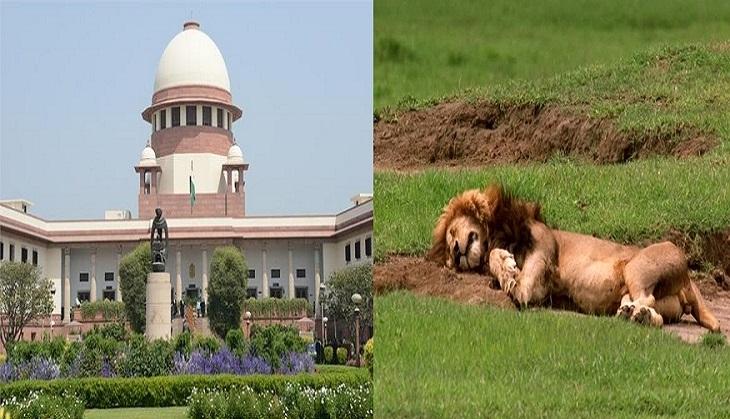 supreme court