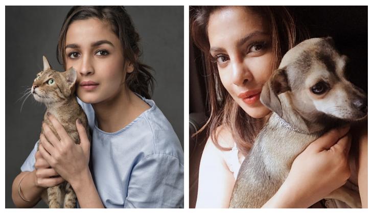 From Alia Bhatt to Priyanka Chopra, these Bollywood celebs have always inspired to love your pet animals