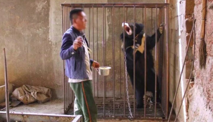 Man with bear