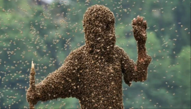 Bee On Woman