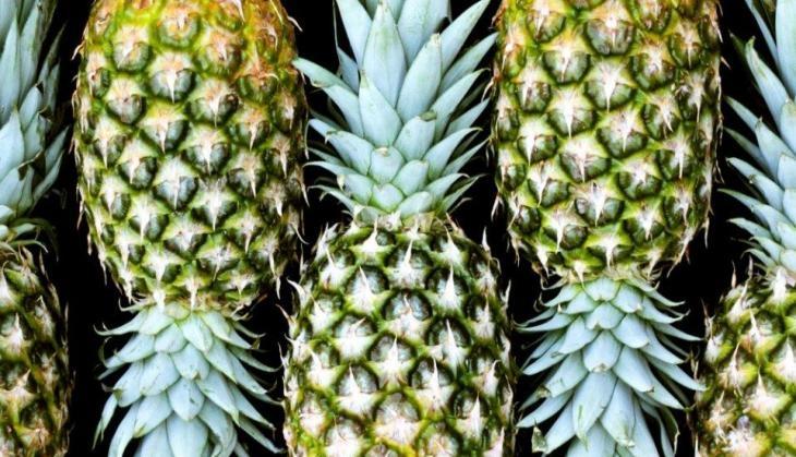 pineapple