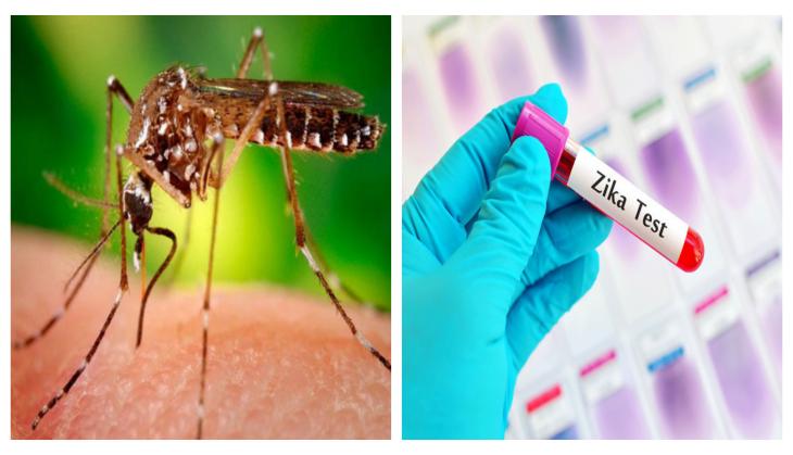 Beware! Zika virus cases rise to 100 in this state of India; check out the symptoms