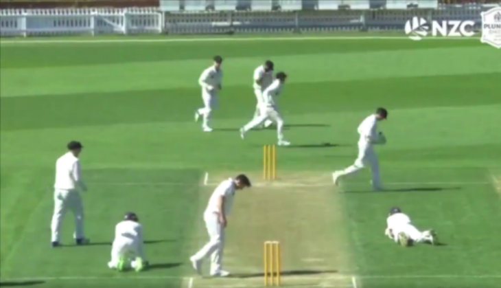 cricket