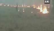 Amid air pollution concerns, farmers in Amritsar continue stubble burning