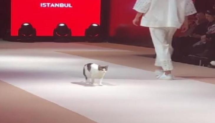 fashion show