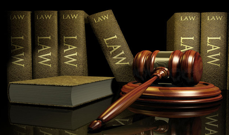 Signs That You are Made to Pursue a Degree in Criminal Law