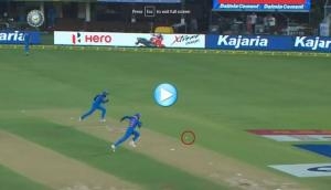 Watch: OMG! Virat Kohli and Ravindra Jadeja ran to chase the ball in an interesting way; know who won the race