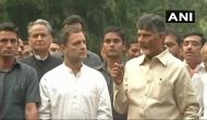 Lok Sabha election: Rahul Gandhi led Congress announces alliance with Chandrababu Naidu's TDP 'to save Indian democracy'