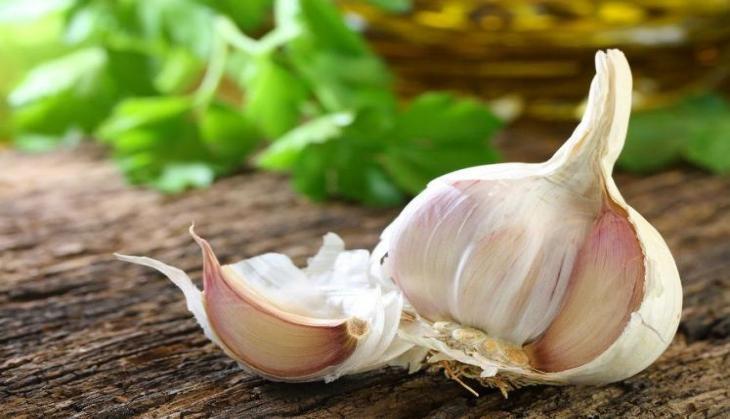 garlic