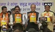 MP Assembly Election 2018: Arun Jaitley and CM Shivraj Singh Chouhan releases BJP Manifesto 'Drishtipatra' ahead of polls