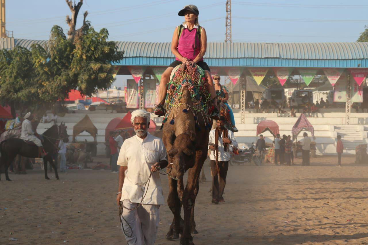 Pushkar Fair 2018:  Big Show, Big Fun, More Money, Pain for Animals