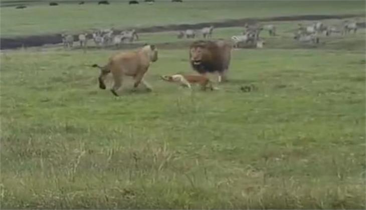 viral video